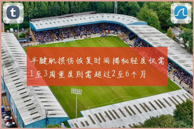 半腱肌损伤恢复时间揭秘轻度仅需1至3周重度则需超过2至6个月