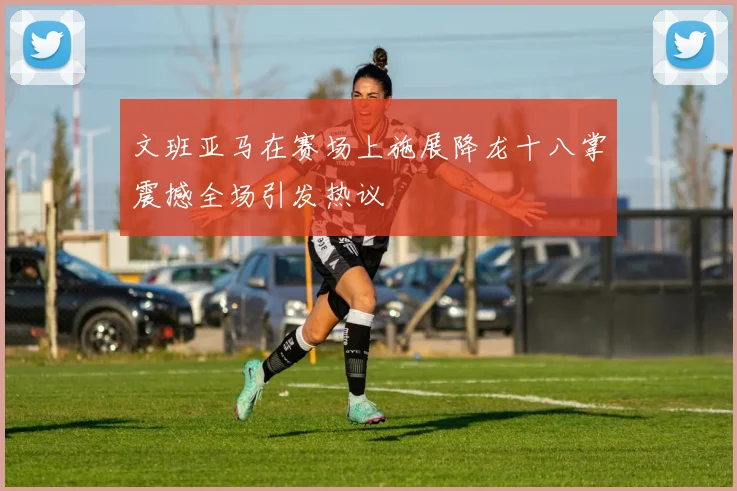 文班亚马在赛场上施展降龙十八掌震撼全场引发热议