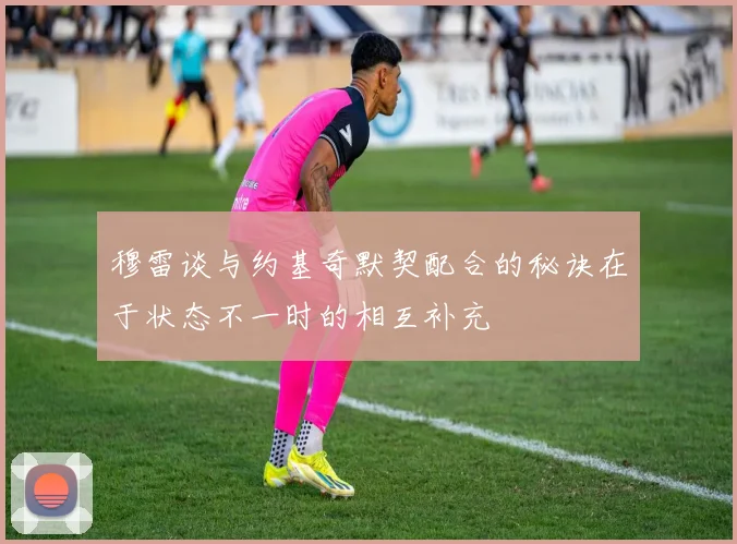 穆雷谈与约基奇默契配合的秘诀在于状态不一时的相互补充